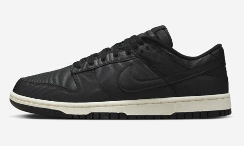 Nike Dunk Low Black Canvas - DV7211-001-Shoesify